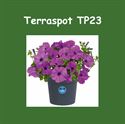 Terraspot TP26